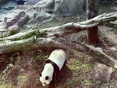-宁波野生动物园