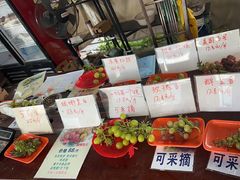 -马陆小张葡萄园农家乐