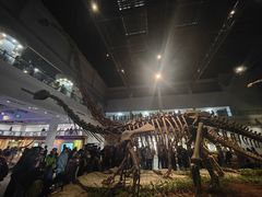 -自贡恐龙博物馆