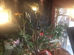 -董小姐咖妃·咖啡·简餐.意面(松江大学城店)