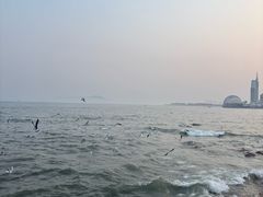 -青岛海滨风景区