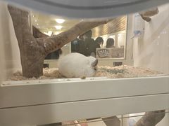 -龙猫仔乐园(惠福东路店)