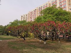 -玲珑塔公园