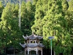 -玉苍山国家森林公园