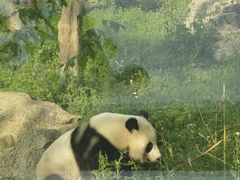 -武汉动物园