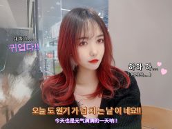 -YO HAIR SALON