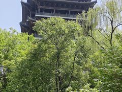 -湖畔鲁菜·二十年老字号餐厅(大明湖店)