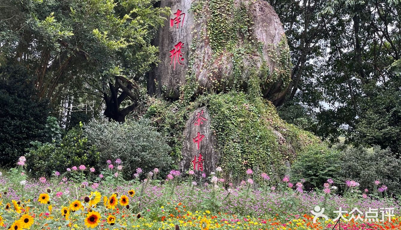 发现梅州的美好