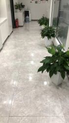 -悟空祛痘·诺奖技术专业店