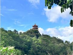 -深圳仙湖植物园