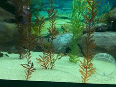 -上海海洋水族馆