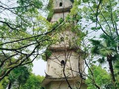 -江心屿景区