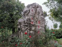 -鹅湖玫瑰文化园