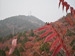 -府君山公园