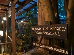 -卷心菜和避孕套餐厅(Pattaya)
