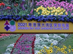 -深圳仙湖植物园