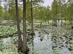 -南京金牛湖风景区