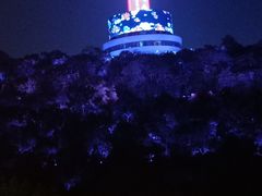 -龟山风景区-龟山电视塔