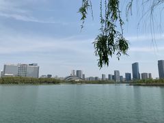 -合肥大剧院