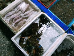 -霞涌市场海鲜摆卖区