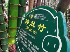 -呀诺达热带雨林