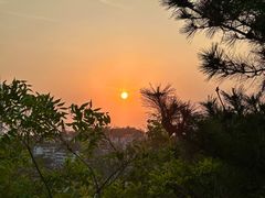 -信号山公园