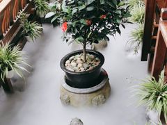 -三只耳火锅(宽窄巷子店)