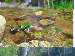 -玉渡山自然风景区