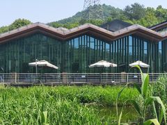 -西湖风景区-江洋畈生态公园