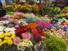 -双季花艺园艺市场(浦东店)