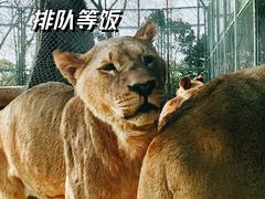 -上海野生动物园