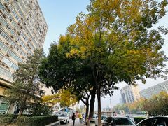 -新侨三宝乐面包店(崇文门店)