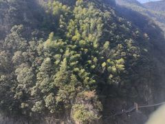 -磐安十八涡风景区