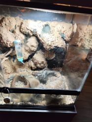 -未来动物城主题公园(正弘城店)