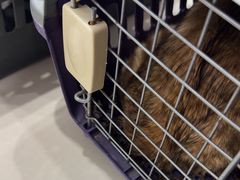 -芭比堂动物医院(广州爱宠下渡路分院)