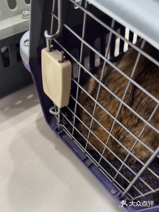 芭比堂动物医院(广州爱宠下渡路分院)图片