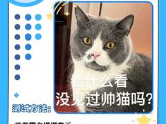 -lincat·猫舍(广州店)
