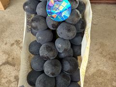 -马陆小张葡萄园农家乐