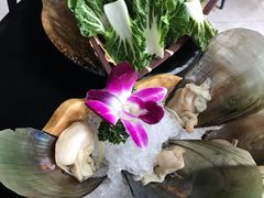 -凤园椰珍·臻品椰子鸡(保利时光里店)