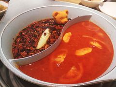 -青瓷火锅料理(西单大悦城店)