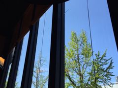 -颐和•海鲜砂锅粥•啫啫煲(奥林匹克广场店)