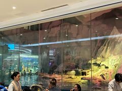 -帝企鹅自助餐厅•儿童岛•真企鹅(长隆企鹅酒店)