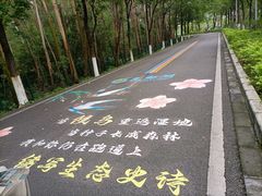 -广东花都湖国家湿地公园