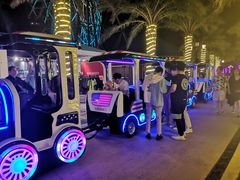 -三亚海昌梦幻海洋不夜城