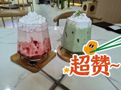 -喵园·猫主题咖啡厅·撸猫·猫咖(国贸店)