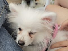 -怪兽屋·羊驼·猫咖·狗咖(俊华广场店)