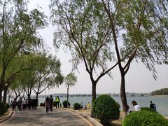 -丁香湖公园