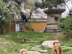 -龙华寺