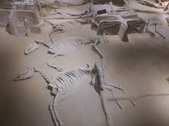 -洛阳周王城天子驾六博物馆