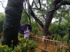 -绮园景区